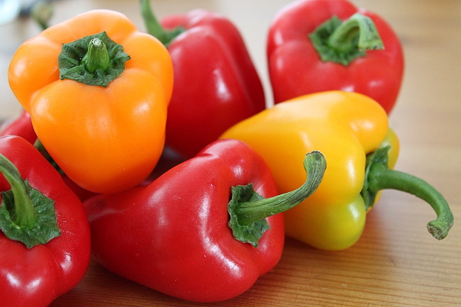 paprika pěstování papriky