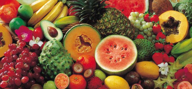 tropical-fruit pěstování exotického ovoce