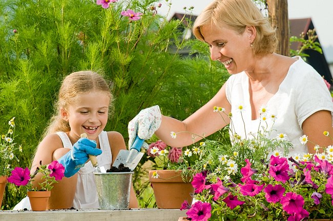 garden jak na okrasnou zahrádku