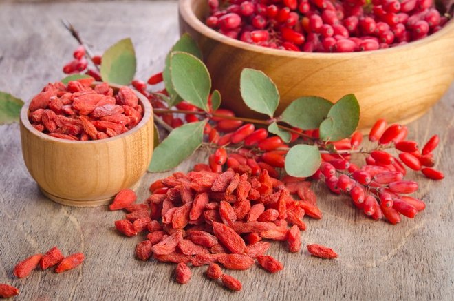 Kustovnice čínská – rostlina štěstí Goji kustovnice čínská goji