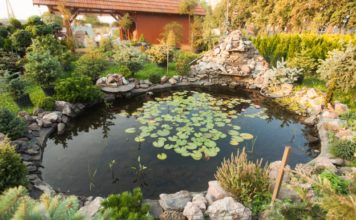 Odpočinek, klid a harmonii najdete v zahradě díky Feng Shui Feng Shui
