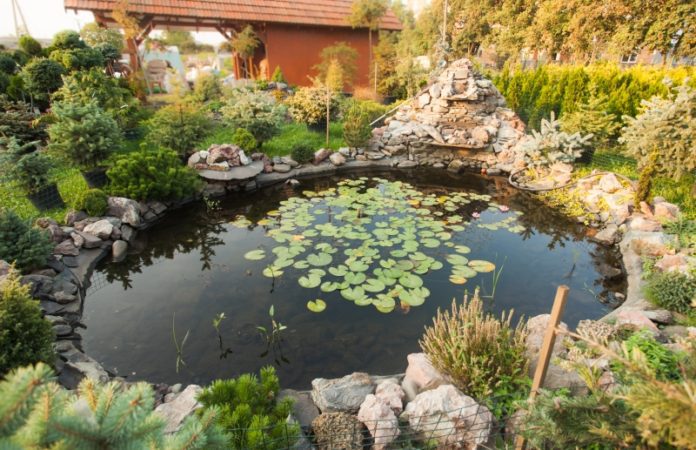 Garden pond landscaping Feng Shui