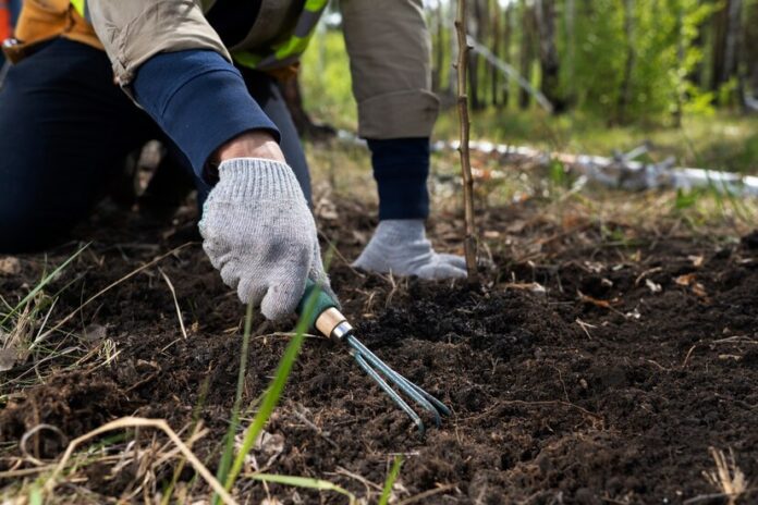 zahrada příprava půdy